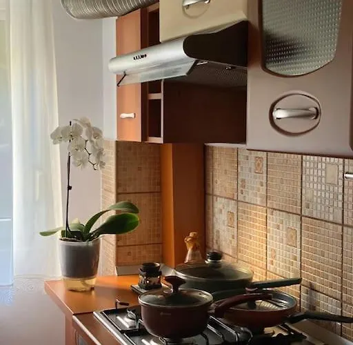Lovely & Quiet 1-bedroom With Free Parking * בוקרשט
