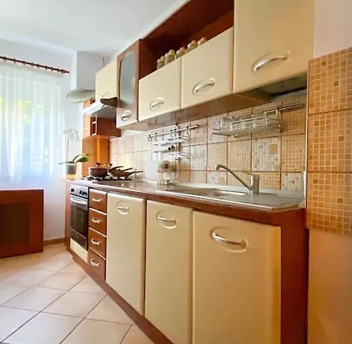 Apartment Lovely & Quiet 1-bedroom With Free Parking Bucharest